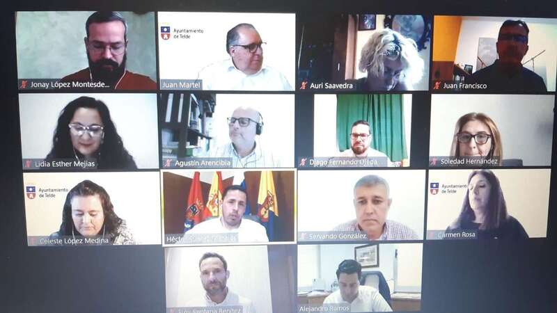 Reunión telemática del Gobierno con el PSOE, Ciuca y Unidas Podemos (Foto TA)